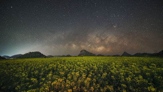 Qujing City · Luoping Rapeseed Fields