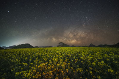 Qujing City · Luoping Rapeseed Fields