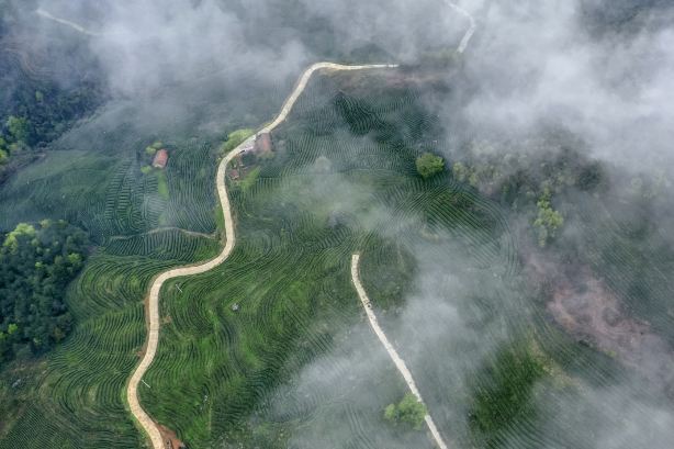 Sea of Clouds Terraces