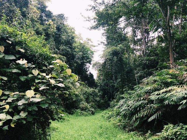 Vieng Phouka simple living