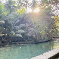 Kawasan Falls, Badian