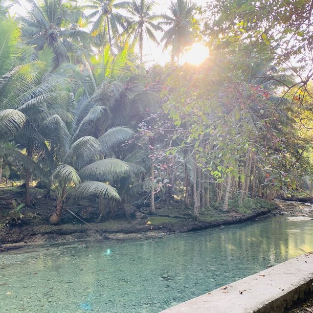 Kawasan Falls, Badian