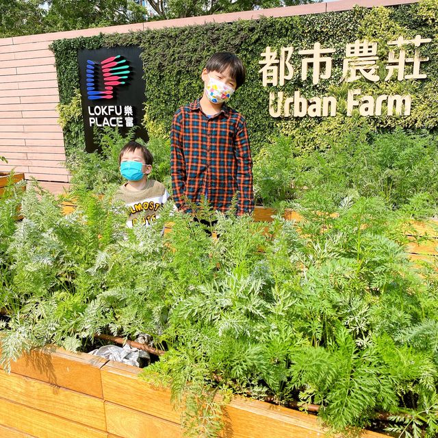 假日好去處