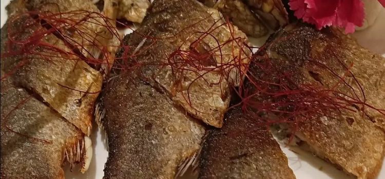 新曾都食府