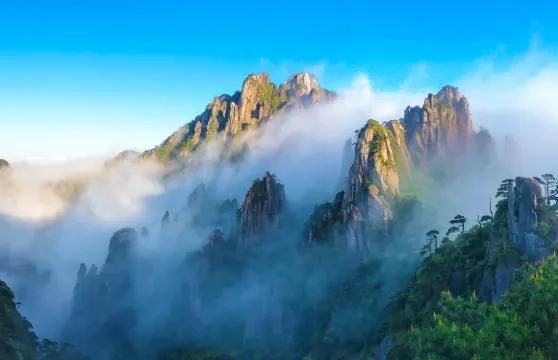 上饒三清山風景區一日遊【上饒起止】