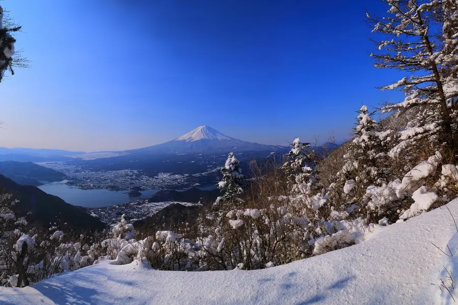 Shoji Panoramic Viewing Platform