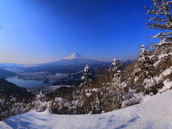 Shoji Panoramic Viewing Platform