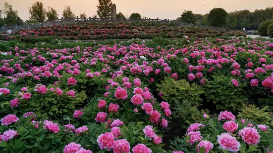 Shenzhou Peony Garden