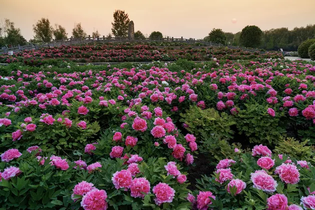 Отзывы об отеле Oriental Pearl Hotel