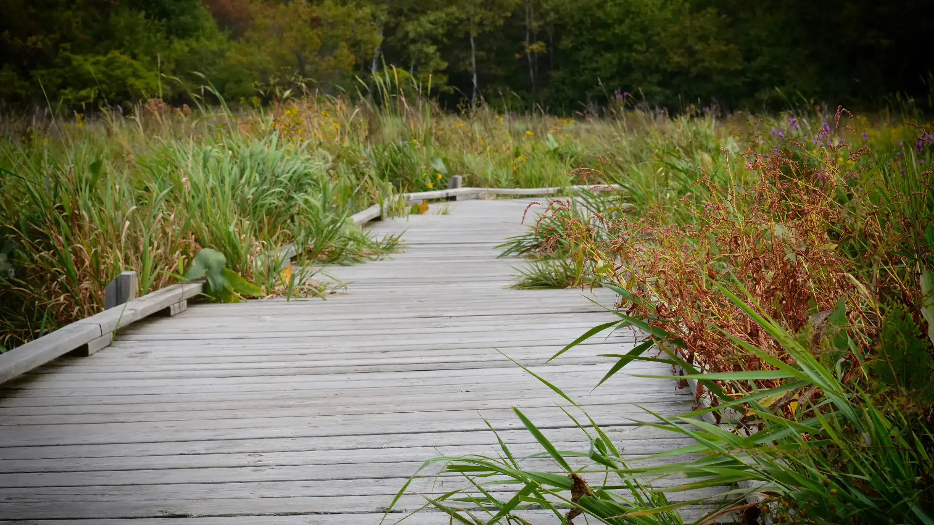 Các khách sạn gần Liuquan Wetland