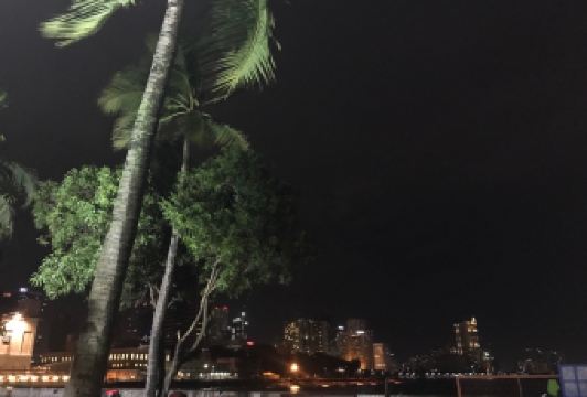 Harbor View Restaurant User Photo