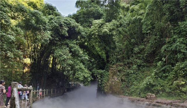 Bamboo Canyon Scenic Area (Jinji Valley)