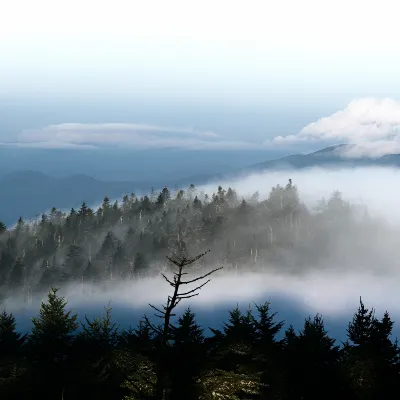 Отзывы об отеле Travelodge Inn & Suites by Wyndham Norman