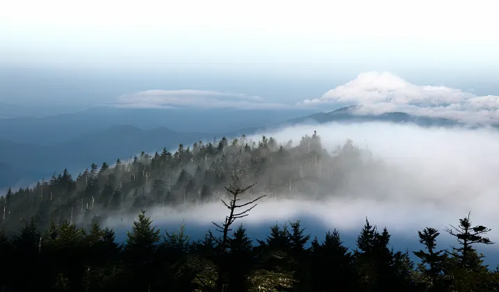 Отзывы об отеле Clarion Inn