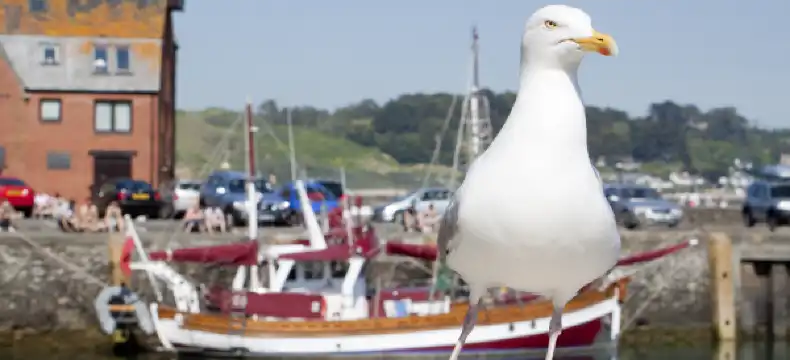 Hotels in Padstow