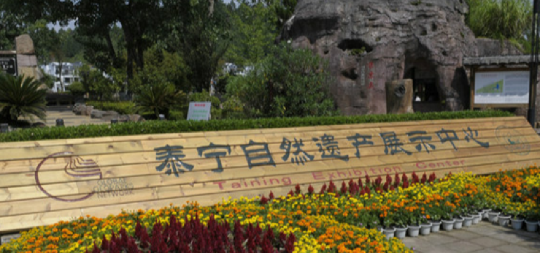 Taining Display Center