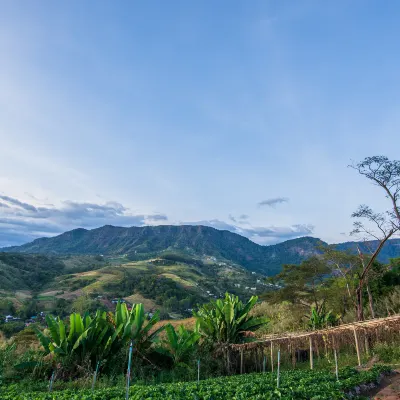 Vé máy bay TP. Hồ Chí Minh Phitsanulok