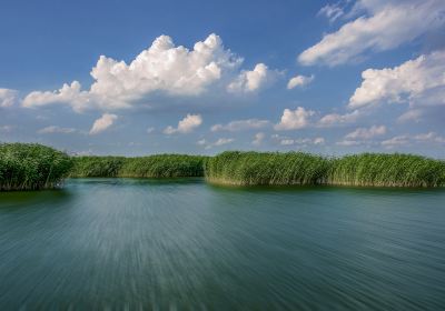 Hasuhai Lake