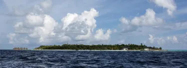 Meedhupparu