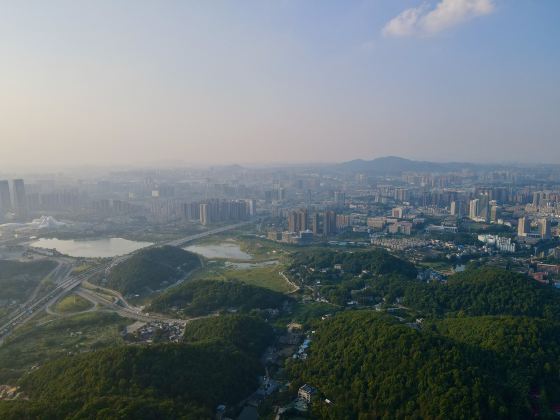 폴리/록곡 스포츠공원