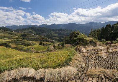 Huatian Terraces