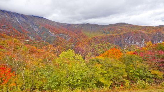 【純粋に楽しいニッチルート】日光東照宮・華厳の滝・中禅寺湖日帰りツアー（東京）
