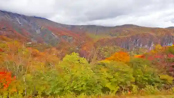 【純玩小眾線】東照宮華嚴瀑布中禪寺湖日本東京日光一日遊