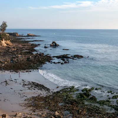 Отзывы об отеле Best Western San Bernardino Hotel