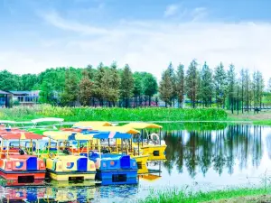 洪湖濕地生態旅遊區