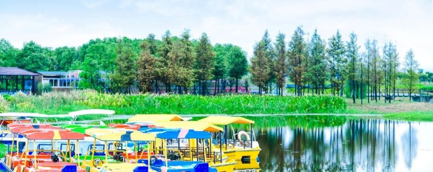 洪湖濕地生態旅遊區