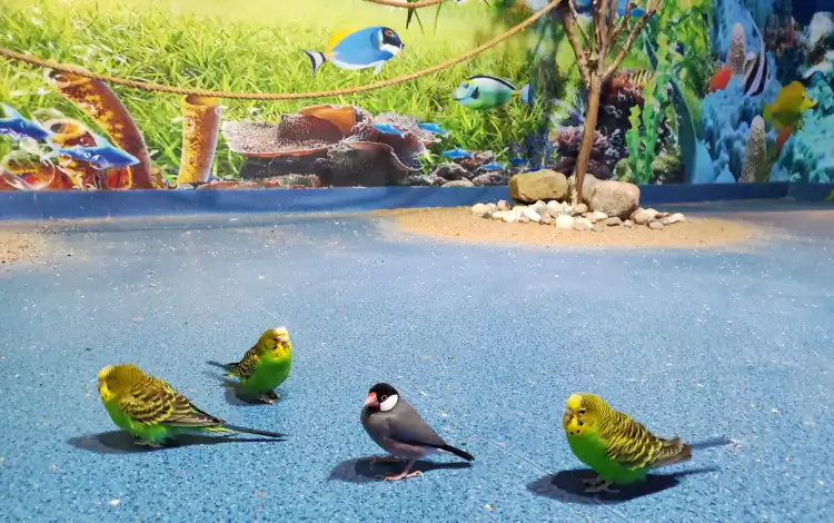 Hotels near Yuenina Polar Aquarium
