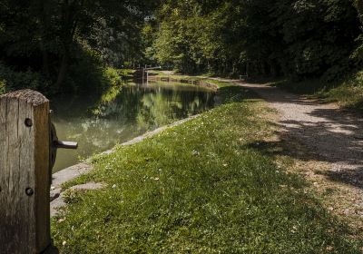 Chesterfield Canal