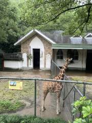 Wenzhou Zoo