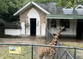 Wenzhou Zoo