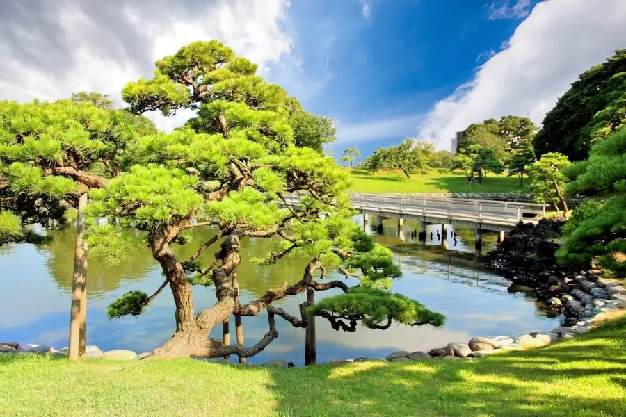 台東区立 隅田公園