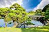 sumika Landscape #3.5 ハマスタ Sunnydaze Decor 80-in H Fiberglass Water Tiered Outdoor