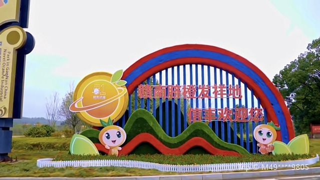 Gannan Navel Orange Industrial Park in China