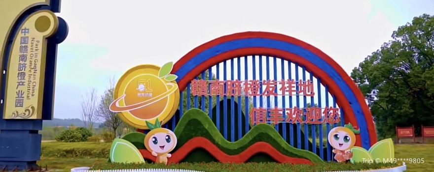Gannan Navel Orange Industrial Park in China