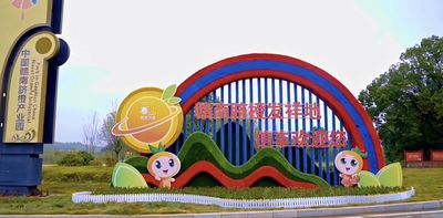 Gannan Navel Orange Industrial Park in China