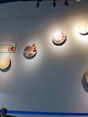 Dalian Shell Museum