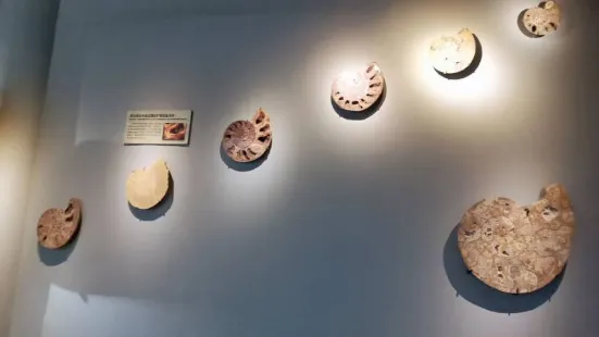 Dalian Shell Museum