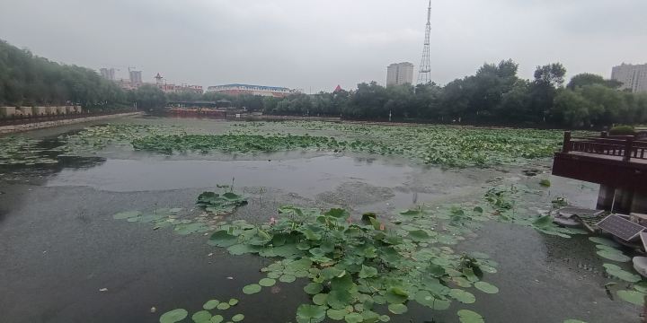 South Lake Park