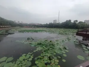 South Lake Park