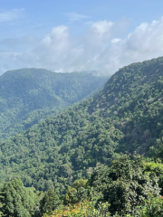 Agumbe Reserve Forest