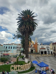 Parque Juárez