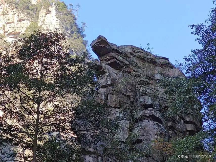 鄰近武陵源風景名勝區-雙龜探溪的酒店