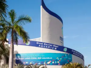 グレート・バリア・リーフ水族館