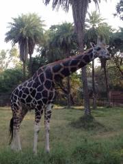 Parque zoológico de Nehru