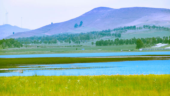 Bashang Lightning Lake Scenic Area - Tourist Destination