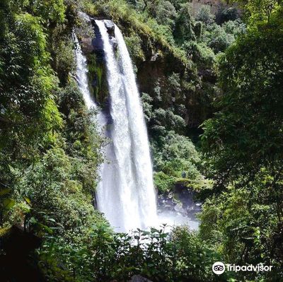 Refugio Ecológico Molinuco